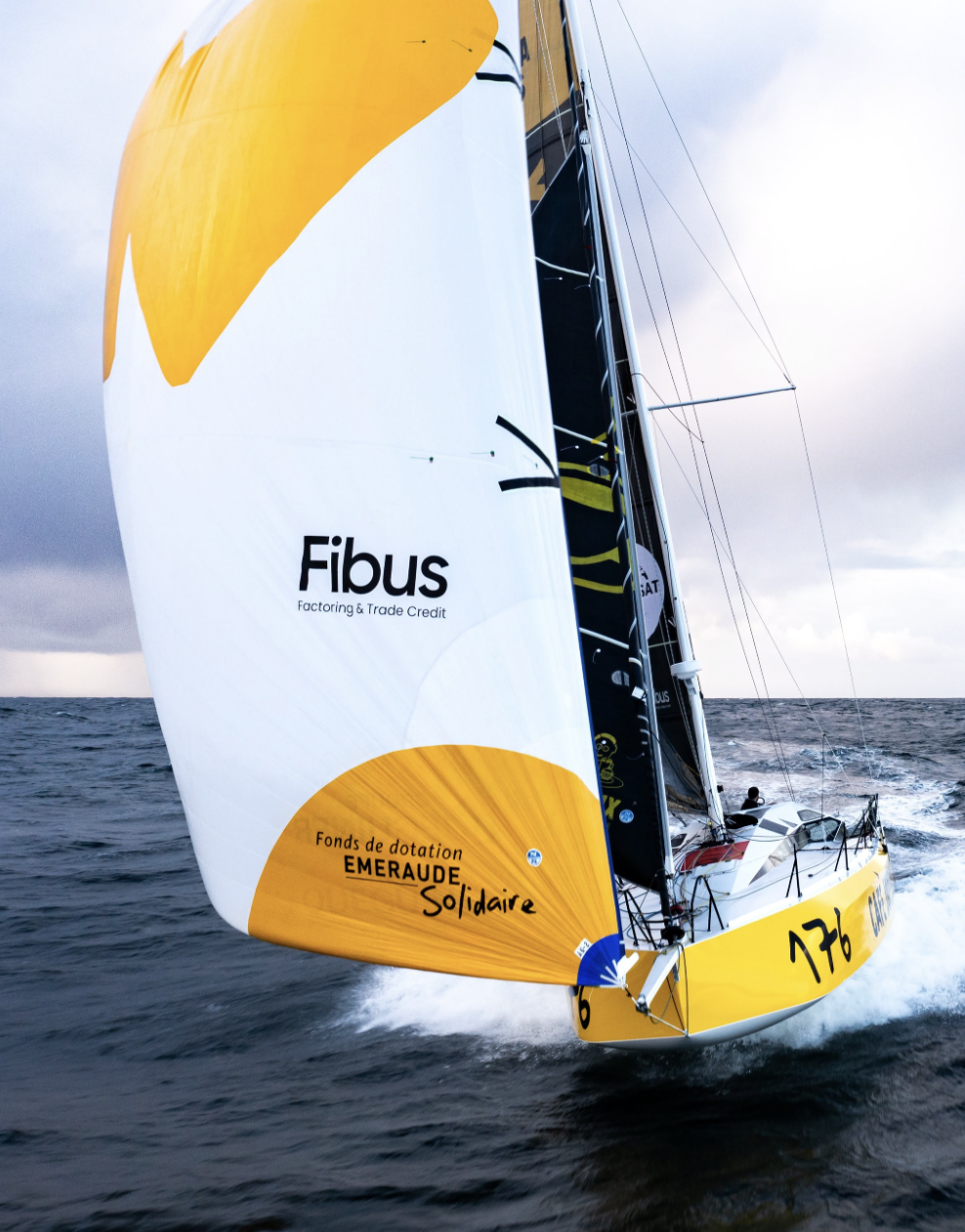 Fibus cover